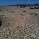 Image for article titled Shooting Challenge: Cellphone Gallery Part 10